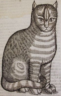 f169645005837e3c37f3b271cc6d5643